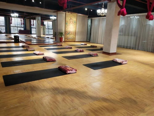 暖豐石墨烯電熱膜地暖 瑜伽館、養(yǎng)生館與健身房的應(yīng)用優(yōu)勢及研發(fā)進展