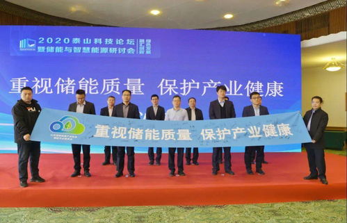2020泰山科技論壇暨儲能與智慧能源研討會在濟南成功舉辦，推動能源科學技術研究發展